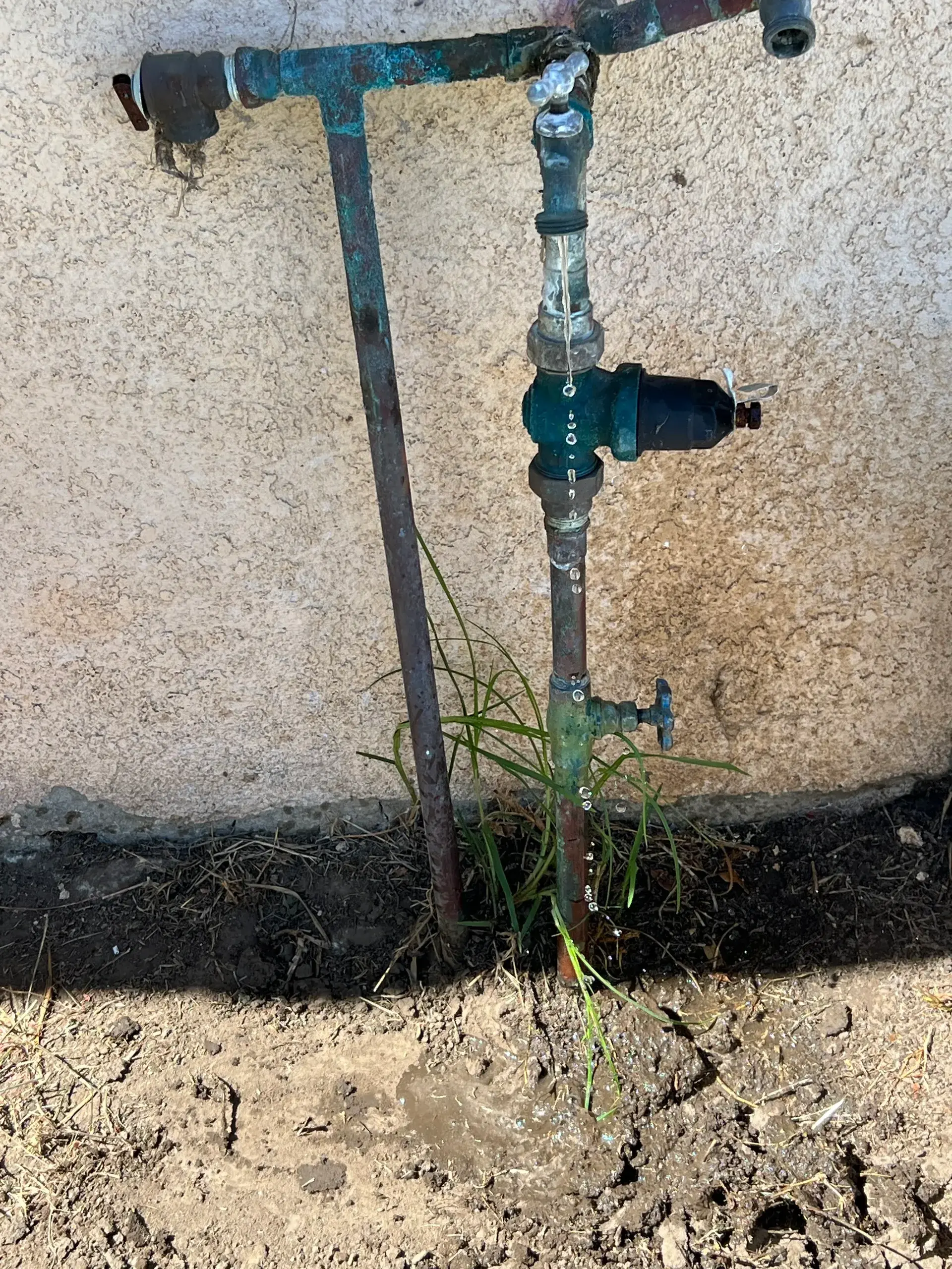A Buena Plumbing technician working on-site in Ventura County